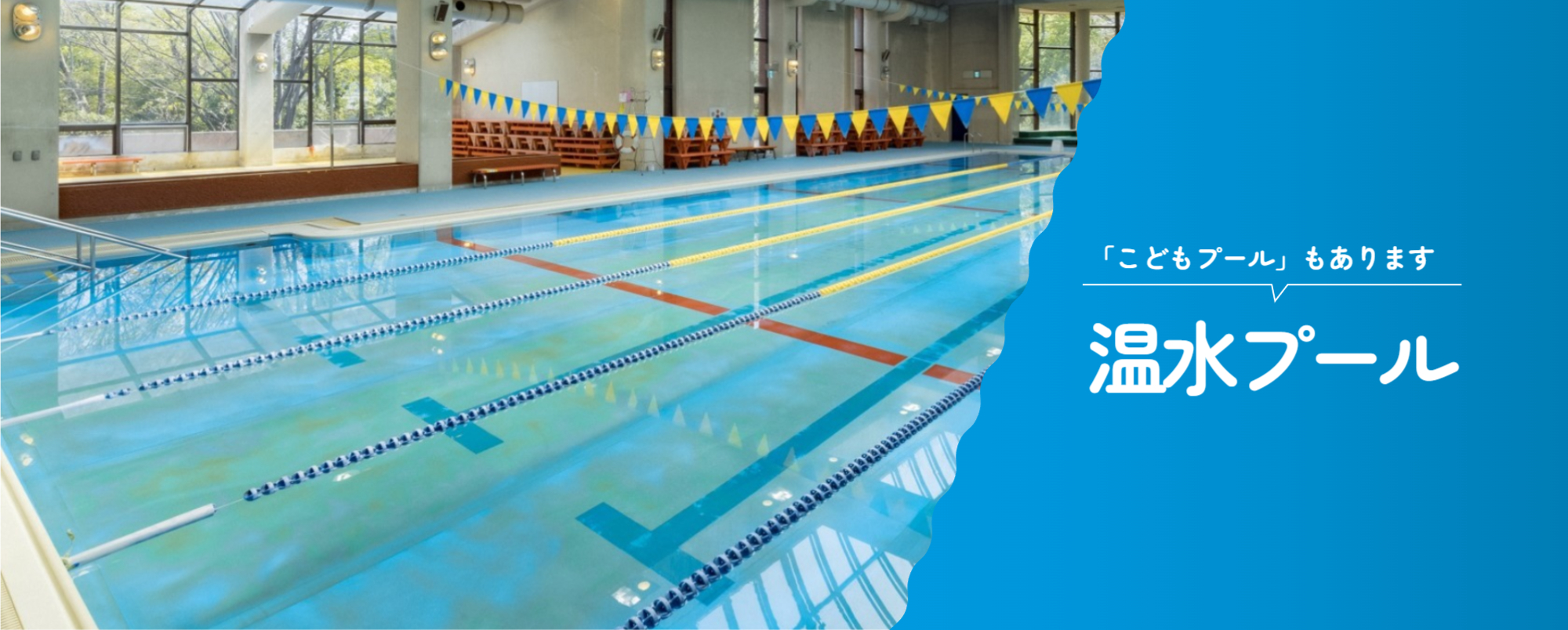 画像 プールご案内