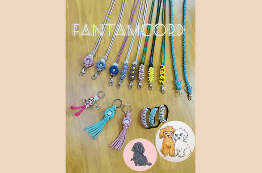 画像　Fantamcord